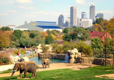 Indianapolis Zoo