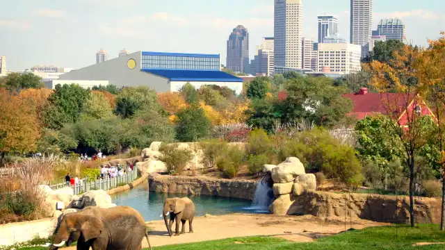 Hotels near Indianapolis Zoo