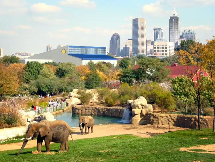Hotel dekat Indianapolis Zoo