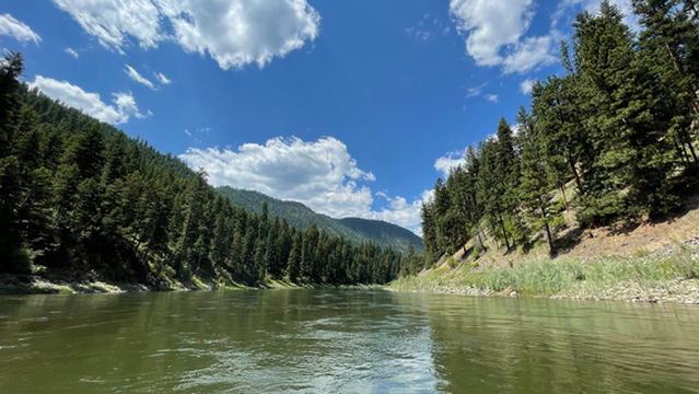 Montana River Guides