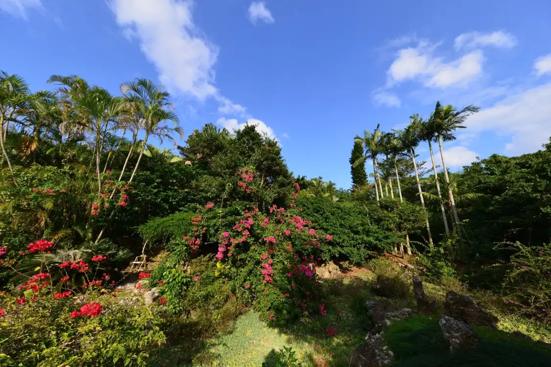 Hotels near Yonnu Paradise