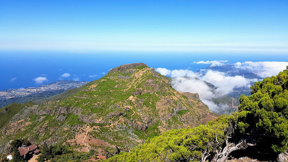 Camara de Lobos