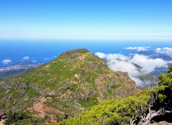 卡馬拉-德洛布什