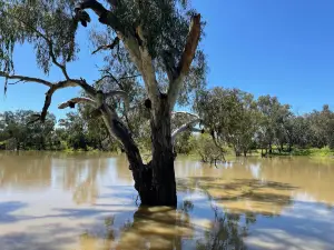 Brewarrina Aboriginal Fish Traps