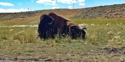 Bear River State Park
