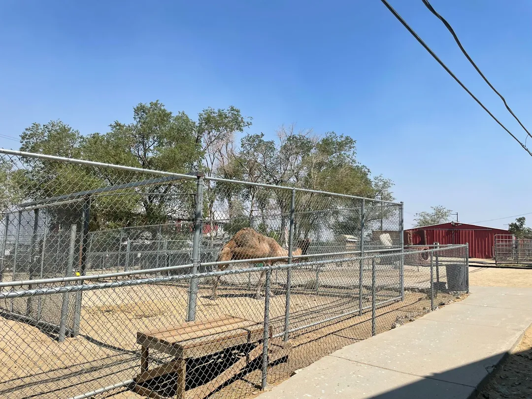 Sierra Nevada Zoological Park Tickets 2025 Promos Prices Reviews 0HJ0n12000h9xpj6dEC74 W 1440 810 Q80.webp