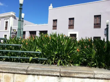 Costanera