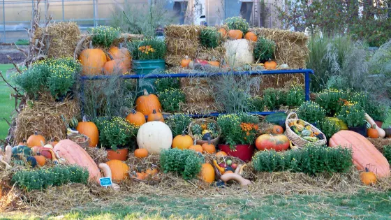 Iowa Arboretum