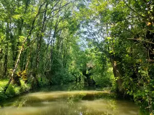 Embarcadere Au Martin Pecheur