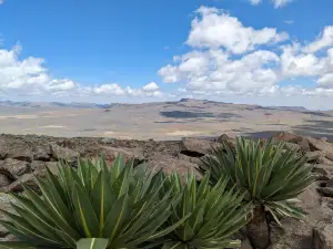 Bale Mountains