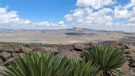 Bale Mountains