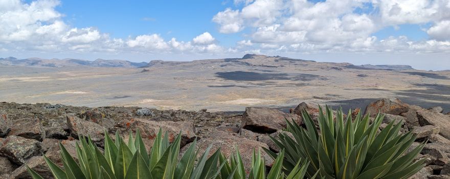 Bale Mountains