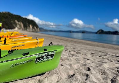 Cathedral Cove Kayak Tours