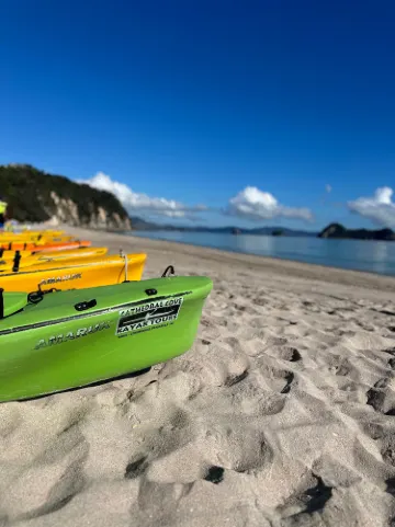 Cathedral Cove Kayak Tours