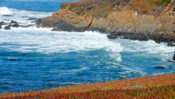 Fiscalini Ranch Preserve Bluff Trail