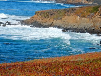 Fiscalini Ranch Preserve Bluff Trail