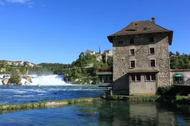 Schlössli Wörth - Erlebnis Rheinfall