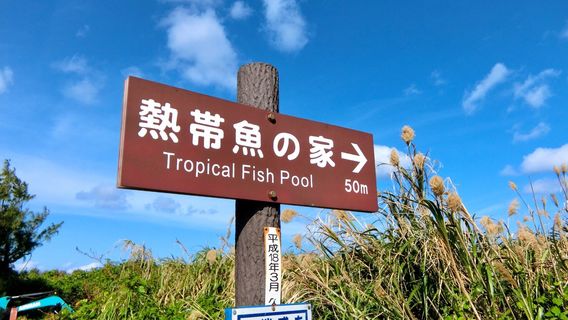 A natural pool inhabited by tropical fish.