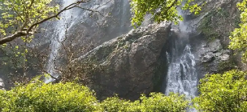 โรงแรมในอำเภอ คลองลาน