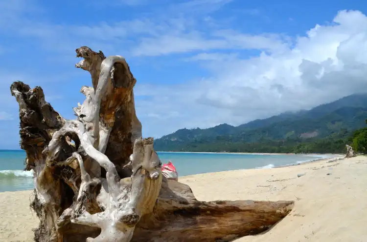 Hotels in Dipaculao
