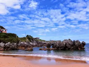 Playa de Toro