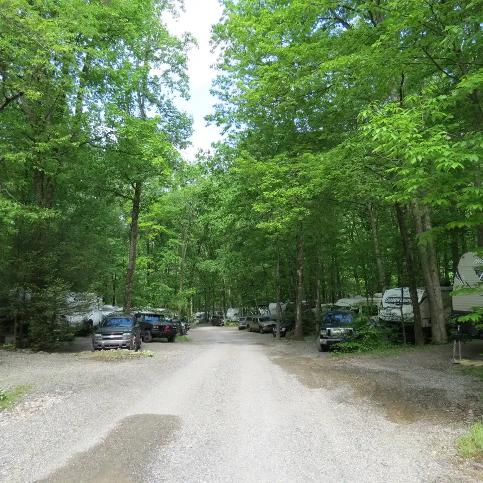 3_Camp-A-While
