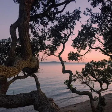 Whangaparaoa