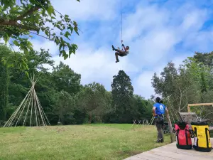 Sequoia Vertigo