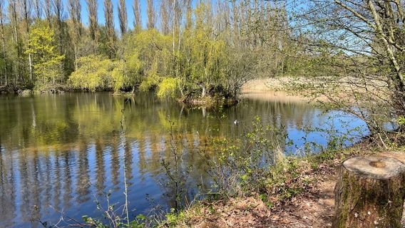 Brandon Marsh Nature Reserve