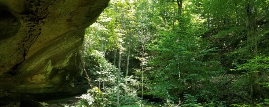 Lawrence County