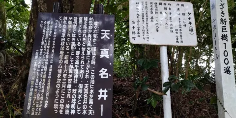 天真名井