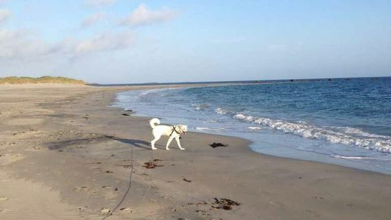 Free Bike Norway Adventures