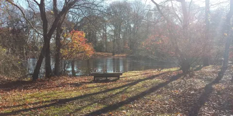 South Shore Nature Center