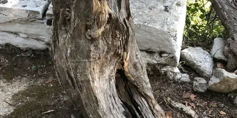 Church of the Five Virgins