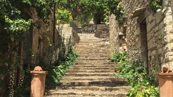 Azienda Agricola Monteraponi