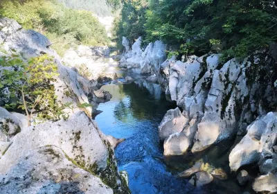 Puente Viesgo
