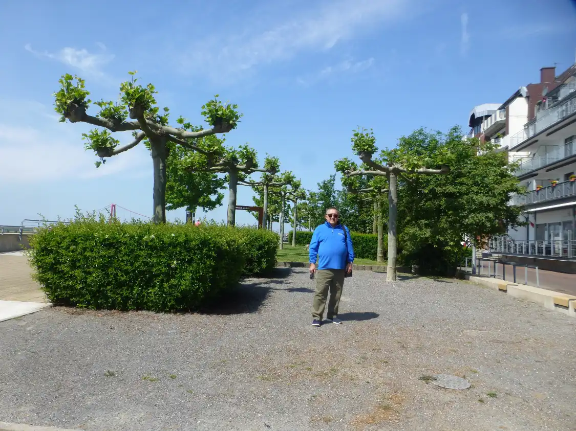 Hotels near Rheinpromenade