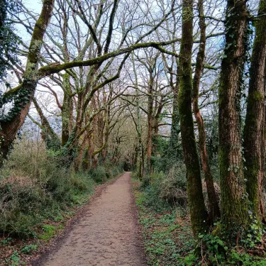 Saint-Herblain