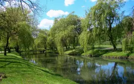 Park Im. H. Sienkiewicza