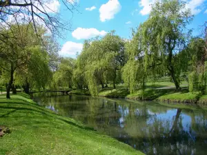Park Im. H. Sienkiewicza
