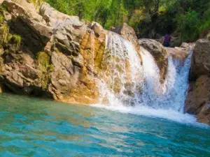 Nila Sandh