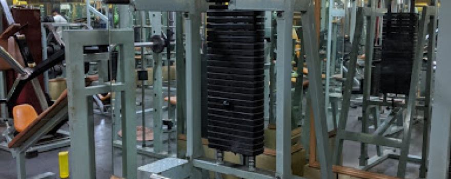 Lions Gym