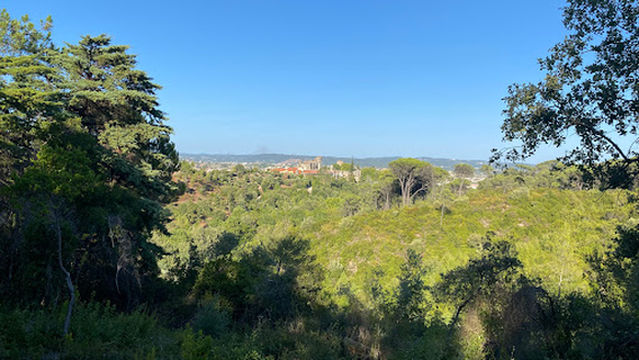 Baloiço Panorâmico da Mata Nacional dos 7 Montes