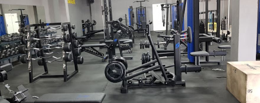 Prestige gym & fitness Marcin Wlizło Szamotuły