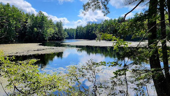 Kezar River Reserve