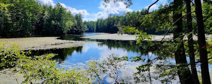 Kezar River Reserve