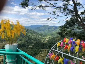 Colorful Rice Terrace View