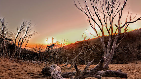Thredbo