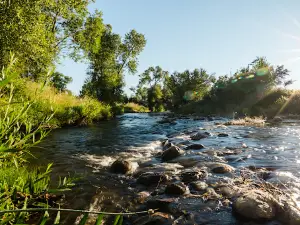 Buffalo KOA Journey