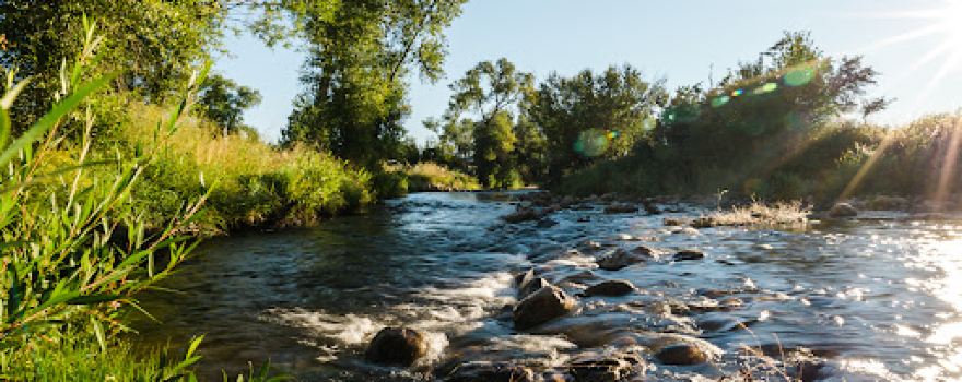 Buffalo KOA Journey